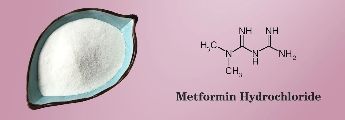 Metformin Hydrochloride Factory.jpg